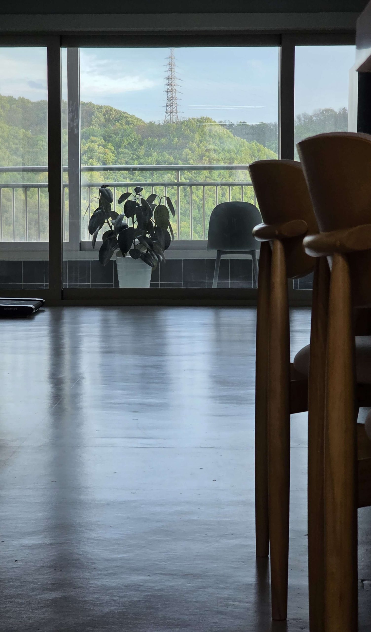 quiet home interior with soft daylight through a window and green view outside