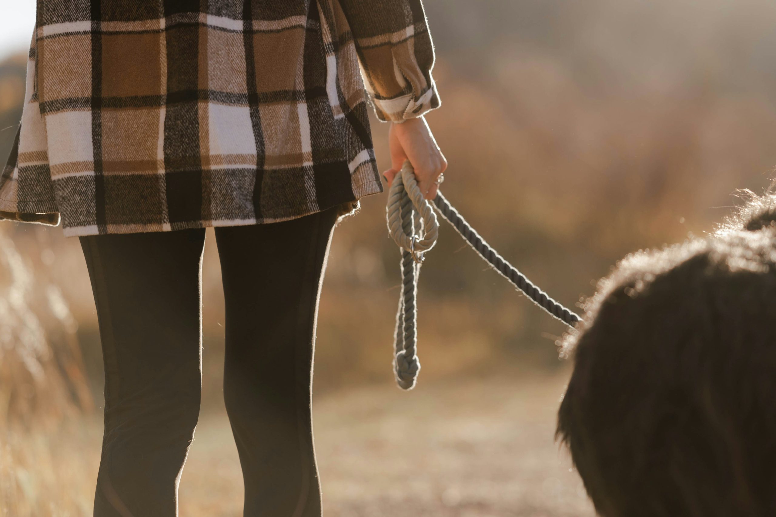 A woman walking her dog calmly, showing soft control in relationships and trust