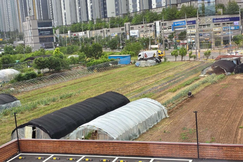 A quiet field beside a crowded café in the middle of the city