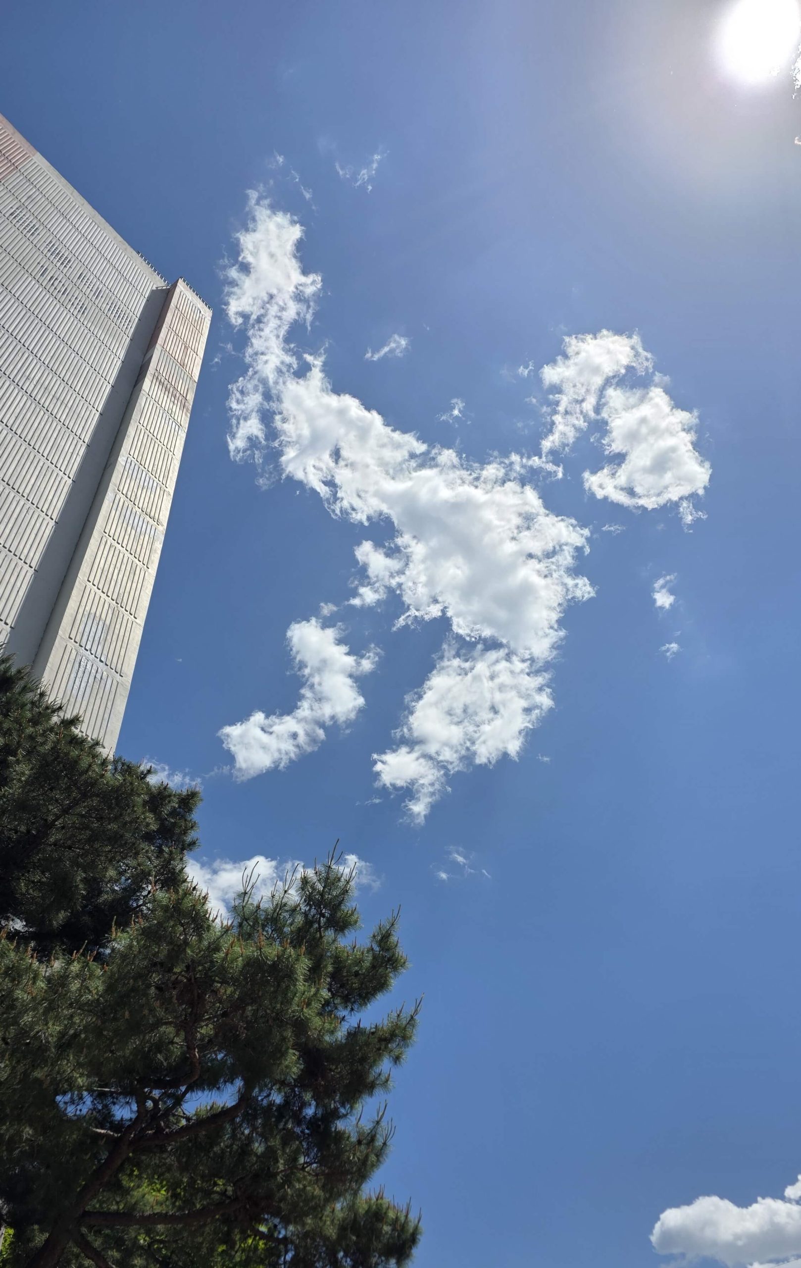 looking up at clouds and sunlight during a simple reset moment