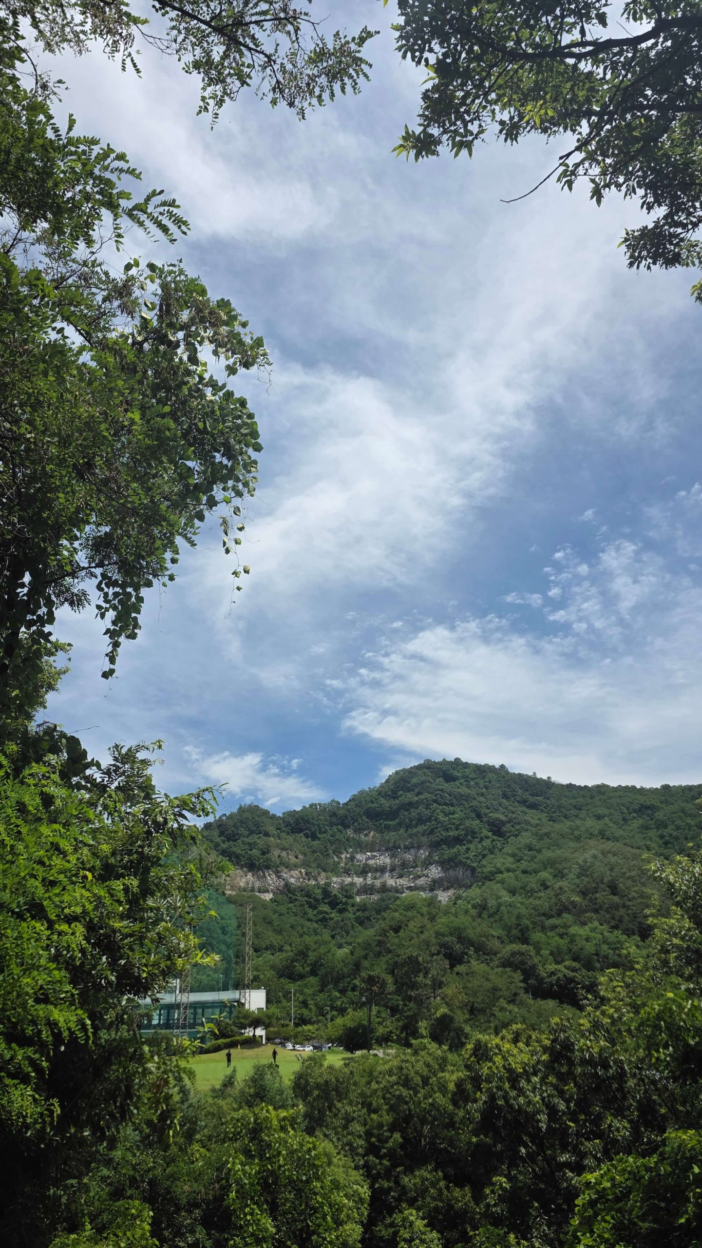 A peaceful golf course beneath a wide blue sky, inviting a quiet pause before the story unfolds.