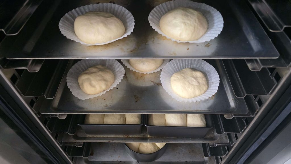 Milk bread and cream cheese blueberry dough rising in a bread proofer