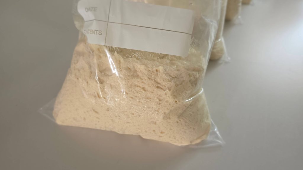 Cold-fermented bread dough resting in a zip-top bag