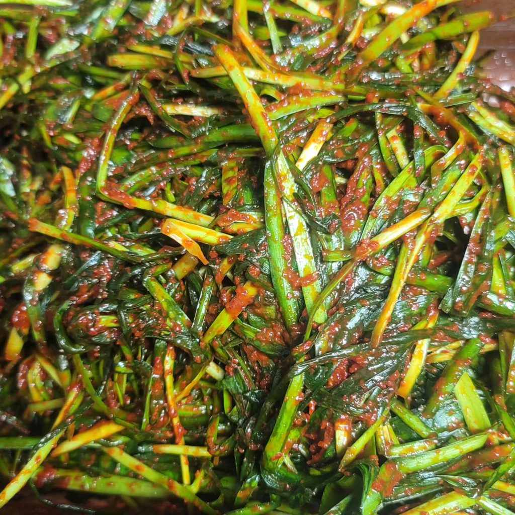 Homemade chive kimchi made with two bunches of chives
