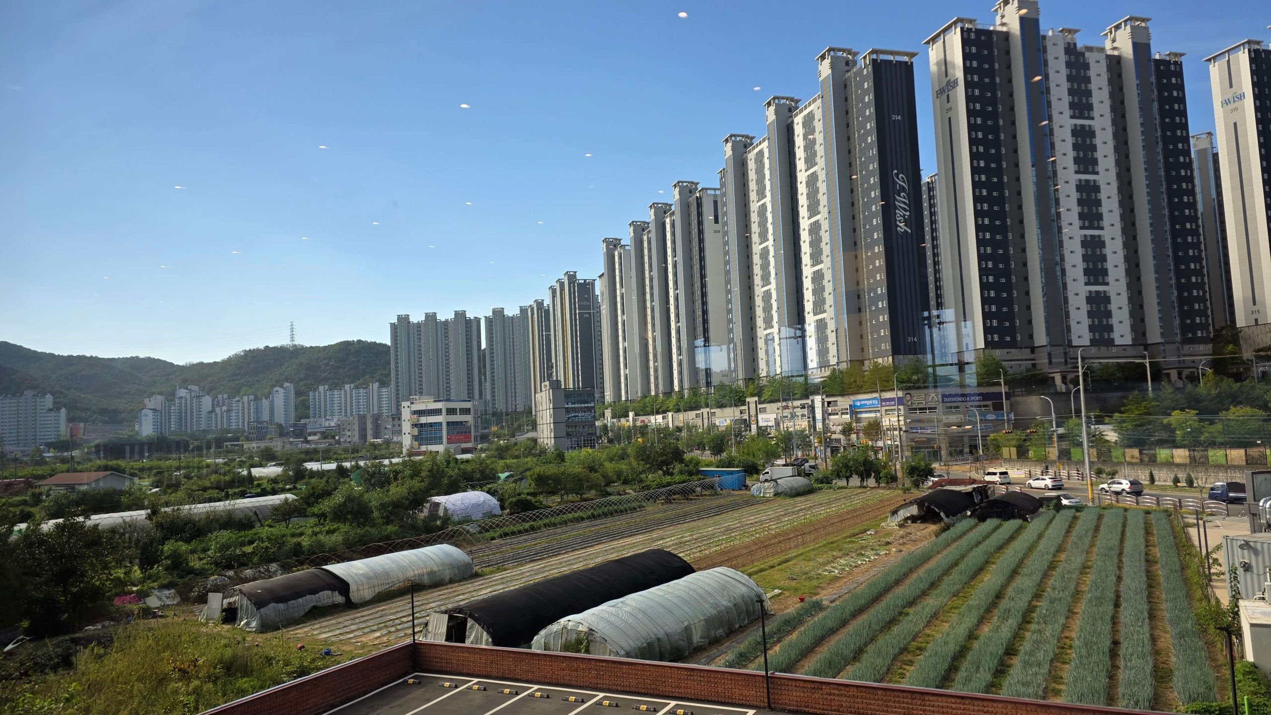 A green onion field surrounded by tall apartment buildings