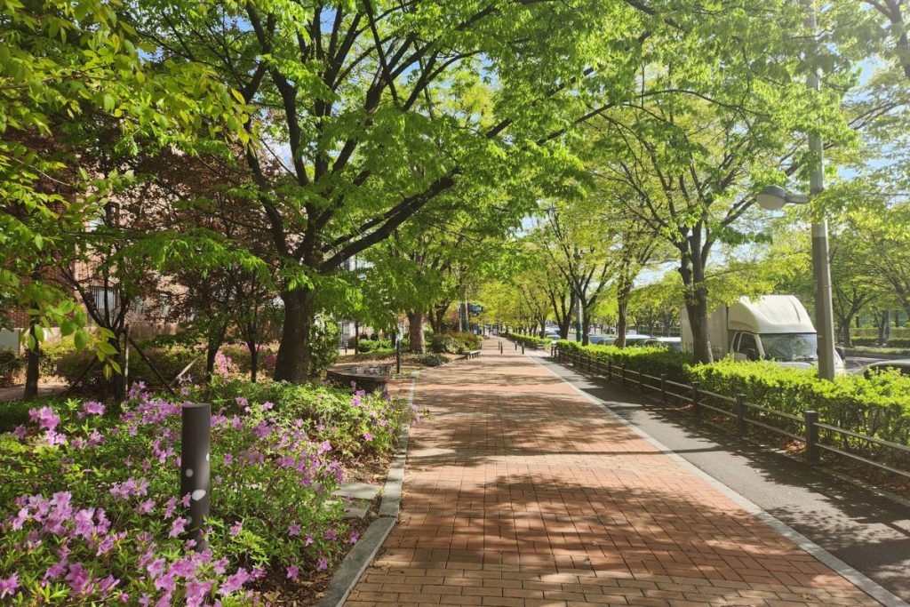A quiet tree-lined street where my daughter and I took a walk after lunch.