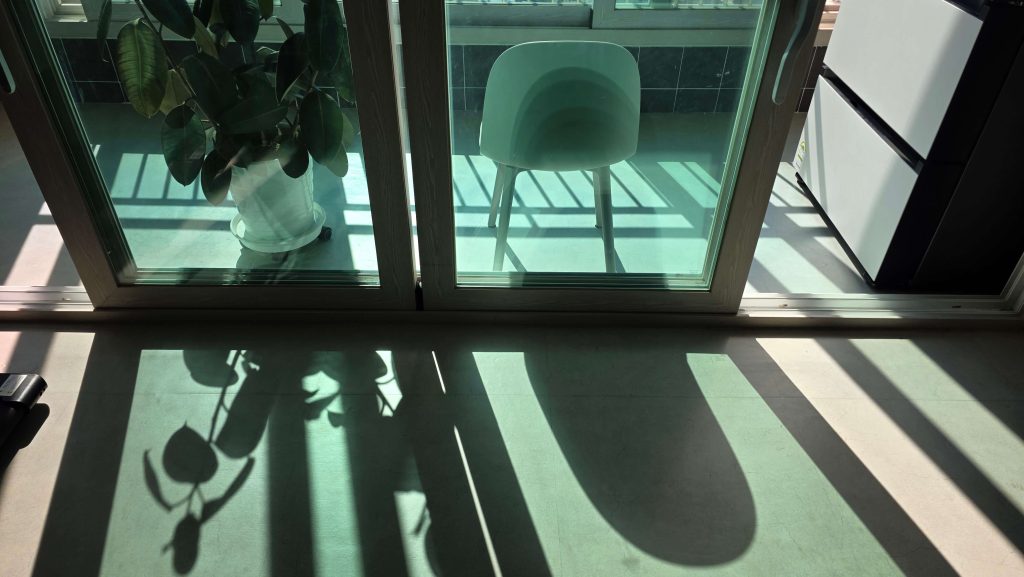 Sunlight and plant shadows falling across the floor near a balcony window.